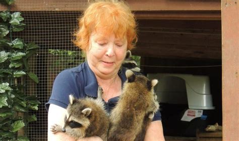 Well Known Hampton Roads Wildlife Rehabilitator Evelyn Flengas Dies