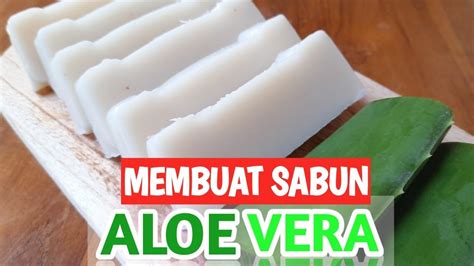 Cara Membuat Sabun Lidah Buaya How To Make Aloe Vera Soap Youtube