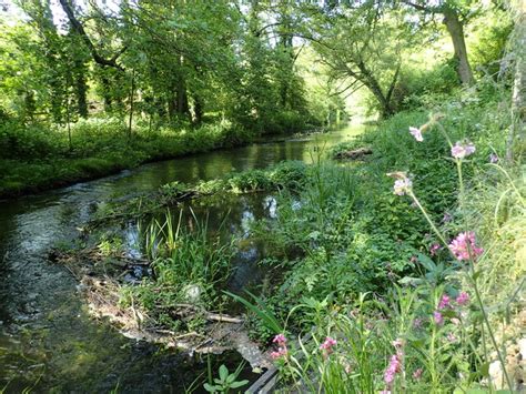 The River Darent Alongside The Bath Marathon Cc By Sa 2 0