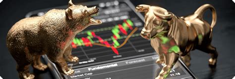 Медведи и быки на бирже: кто такие в трейдинге, объясняем простыми словами