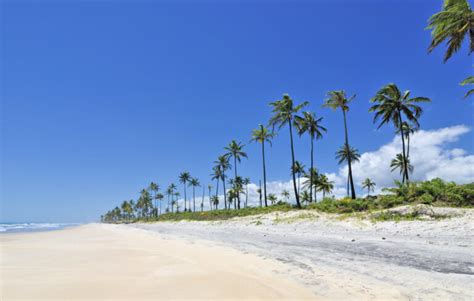 O Que Fazer Em Ilh Us Praias Cachoeiras E Banho De Rio Na Terra De