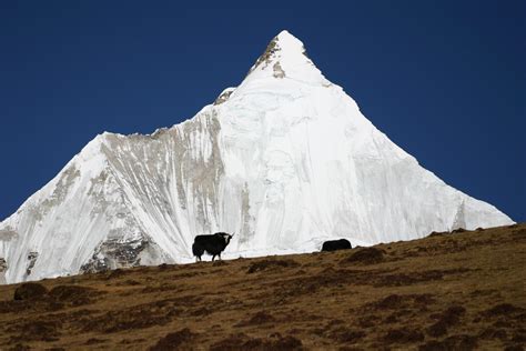 Bhutan: Jumolhari Trek - Little Bhutan