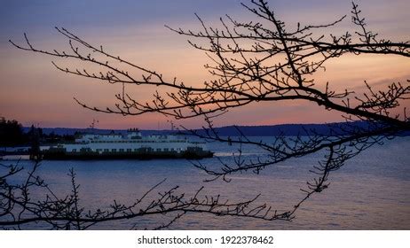 170 Lincoln park seattle Images, Stock Photos & Vectors | Shutterstock