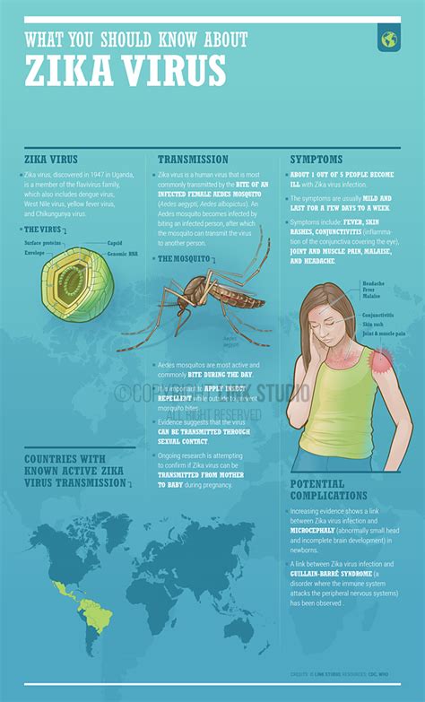 What You Should Know About Zika Virus Link Studio Medical Infographic