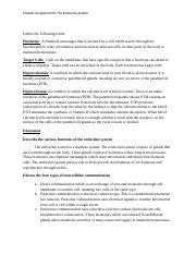 Endocrine Assignment Docx Chapter Assignment The Endocrine System