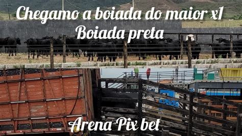 CHEGANDO A BOIADA DO X1 NA ARENA PIX BET 2023 BET VIP YouTube