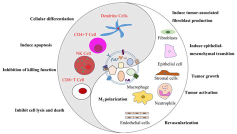 Ijms Free Full Text Emerging Advances Of Detection Strategies For