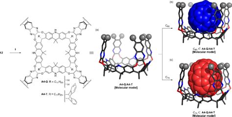 Scheme 2 Synthesis A Of Megalo Cavitands A4 Q And A4 T From The Download Scientific Diagram