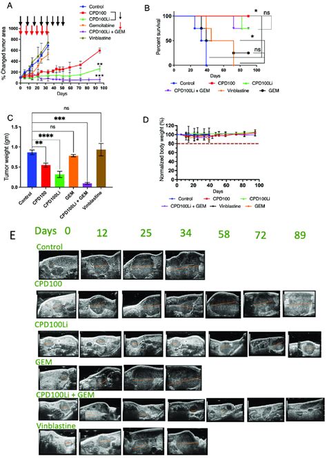 In Vivo Efficacy Of Cpd And Cpd Li In The Panc Tumor Model In