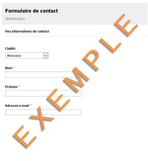 Création De Formulaire De Contact Créer Par Formpro™ Modèle