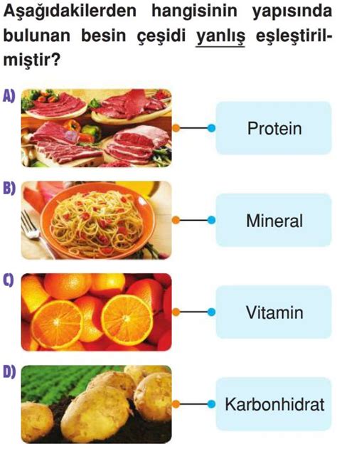 Besinler Ve Zellikleri Test Z S N F Fen Bilimleri Testleri