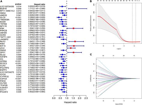 Frontiers Prognostic Immune Related Genes Of Patients With Ewings