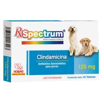 Rx Spectrum Enrofloxacina Tabletas Mg Padisa