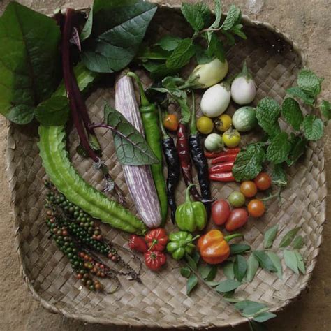 Resources Biodiversity For Food And Nutrition