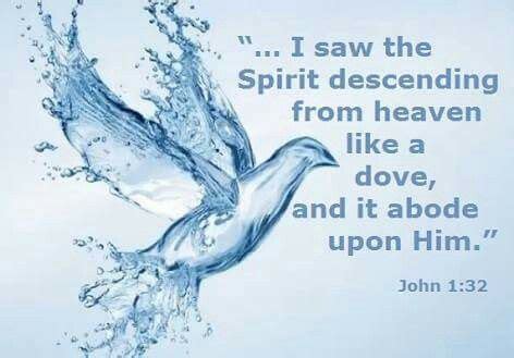 Holy Spirit, like a dove | Holy spirit, Spirit, Doves