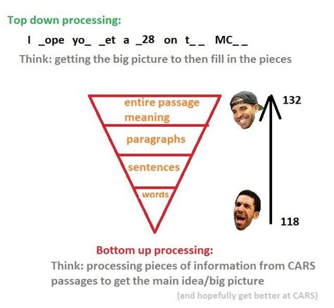 Top down/Bottom up processing : r/Mcat