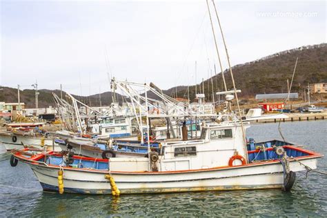 There Are Many Boats That Are Docked In The Water Near Each Other And