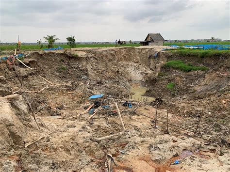 Duh Di Tengah Sawah Rias Ada Tambang Timah