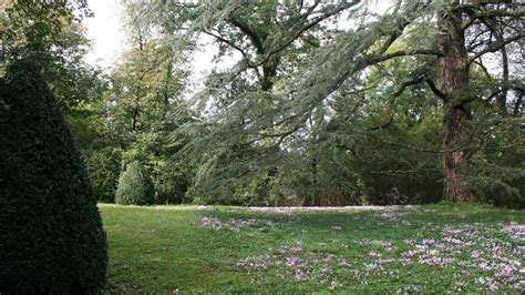 Visiter Les Jardins De La Croze