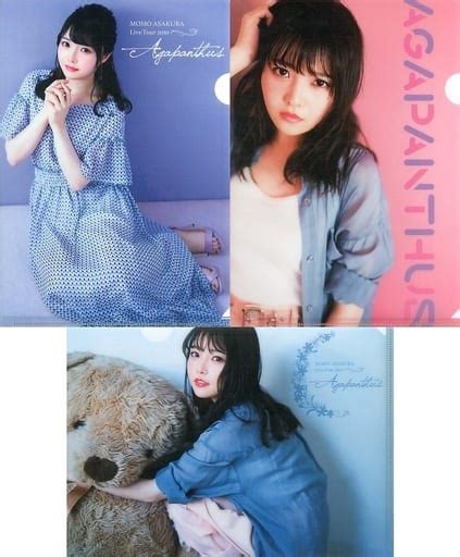 Clear File Momo Asakura A4 Clear File 3 Pack Set 「 Lawson Presents Momo Asakura Live Tour 2020