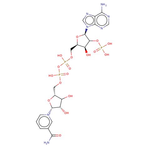 Nicotinamide Adenine Dinucleotide Hydrate