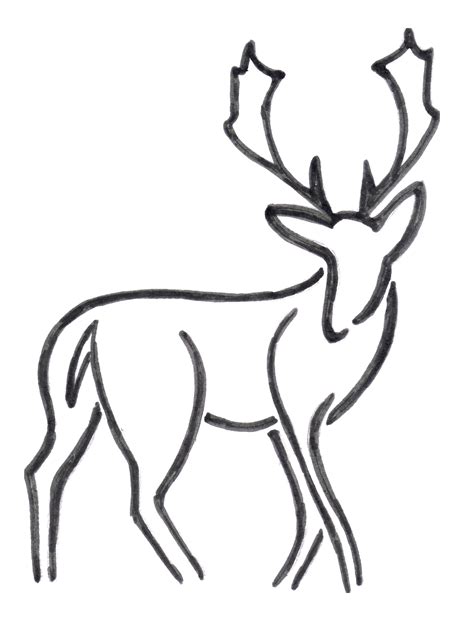 Buck Deer Drawing at GetDrawings | Free download