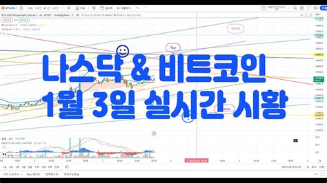 멤버쉽전용 나스닥 And 비트코인 1월 3일 실시간시황 전략영상 Youtube