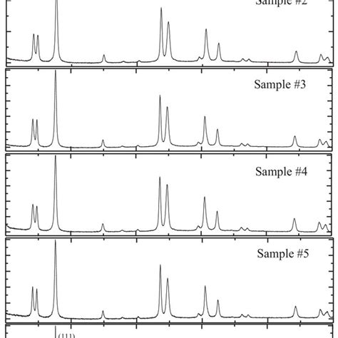 Measured temperature dependences of the free induction decay amplitudes ...