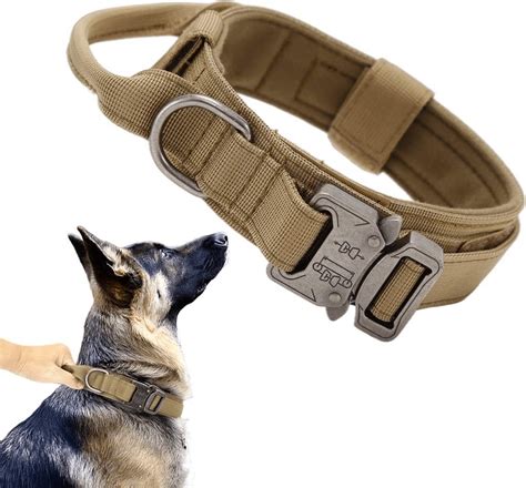 Choose the Best Heavy Duty Collar for Your Big Dog with Our Expert Guide