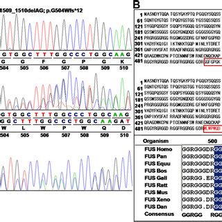 Schematic overview of identified FUS gene mutations associated with... | Download Scientific Diagram