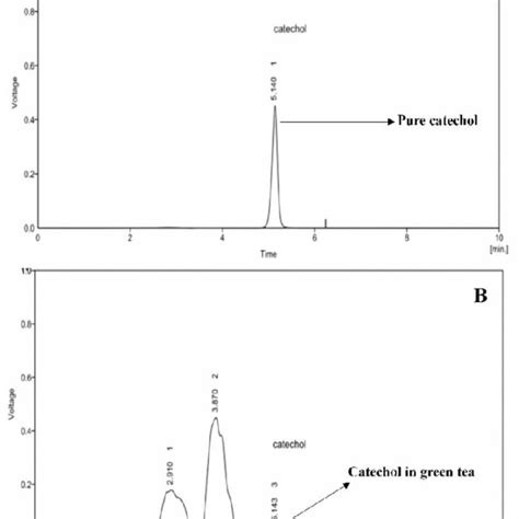 A Hplc Chromatograms Of Standard Catechol B Green Tea Sample