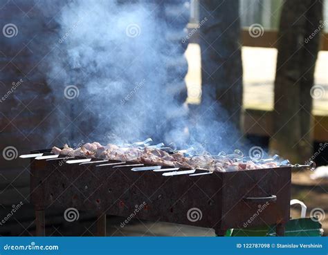 Carne Asada A La Parilla En Los Pinchos Foto De Archivo Imagen De