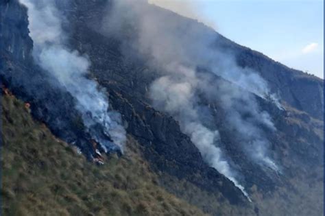 Incendios Forestales Puno Registra 93 Alertas Y 1014 Focos De Calor