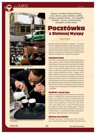 2009 Pocztowka Z Zielonej Wyspy PDF