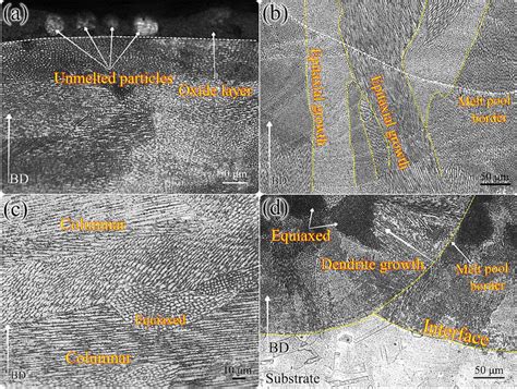 LOM Images Of The As Built DED AISI 316L Samples Using A Cold