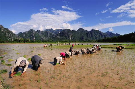 Saving Laos From Global Warming - Newsweek