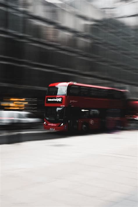 Red Bu · Free Stock Photo