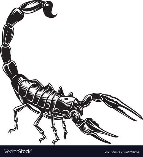 Scorpion Vector