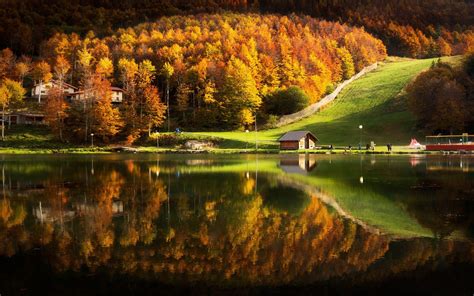 Sunlight Trees Landscape Forest Fall Mountains Lake Water