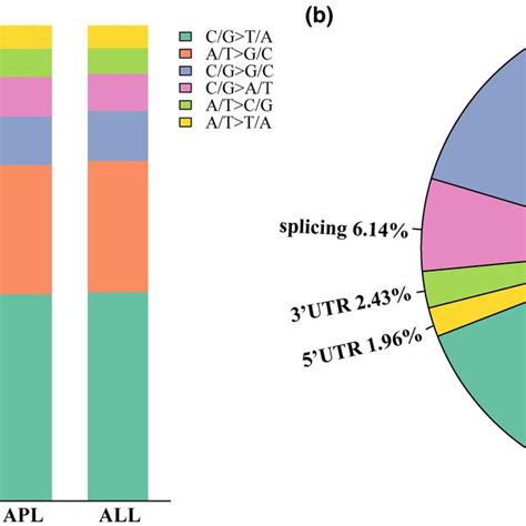 Patterns Of Somatic Snvs By Targeted Next‐generation Sequencing A