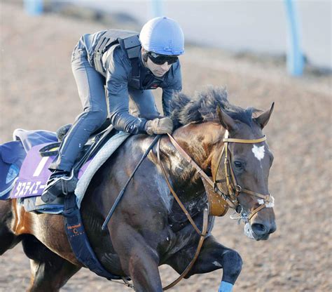 【注目馬動向】天皇賞・春を目指すタスティエーラがモレイラ騎手と菊花賞以来のコンビ復活 Umatoku 馬トク