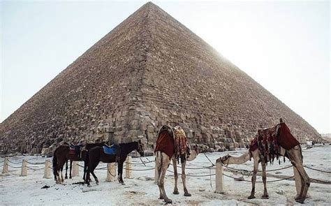 1st Snow in Egypt in 100 Years | Video & Photos - SnowBrains