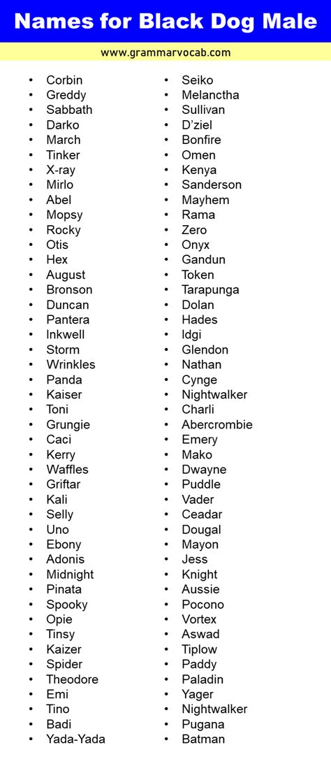 List of Male Black Dog Names - GrammarVocab