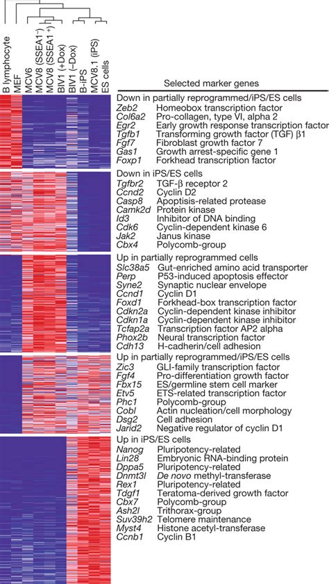 Gene Expression Profiling Relative Expression Levels Across