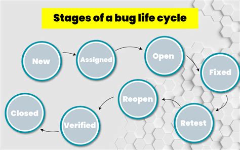 Stink Bug Life Cycle Stages