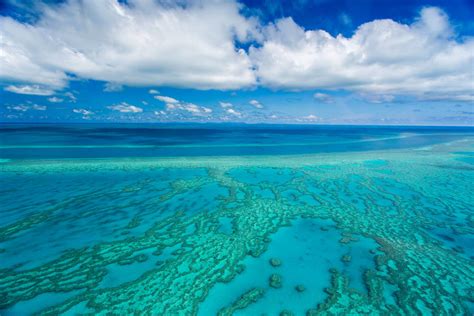 8 Of The Best Reasons To Visit The Great Barrier Reef Flight Centre Uk