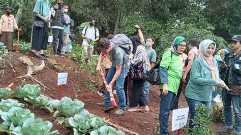 Bule Italia Ikut Tanam Pohon Di Sekemala Pemkot Bandung Aktifkan