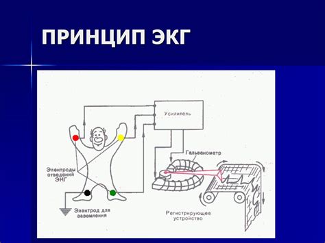 Принцип ЭКГ - презентация онлайн