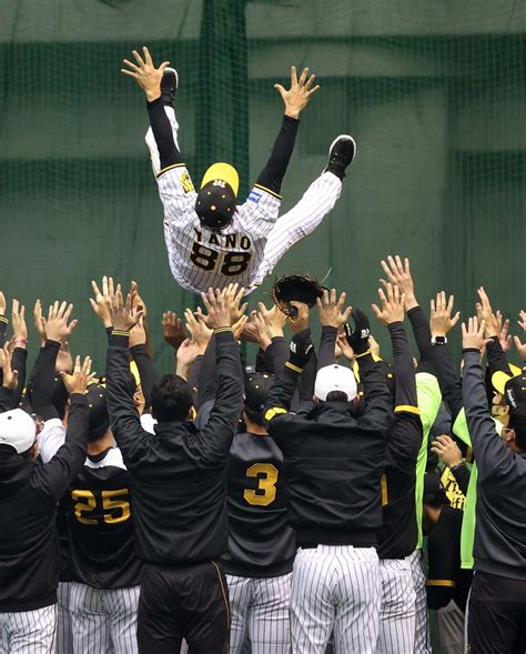 阪神矢野監督をフライング胴上げ 西勇輝「予祝」tシャツ、ナインの優勝前祝いで3度宙に プロ野球写真ニュース 日刊スポーツ