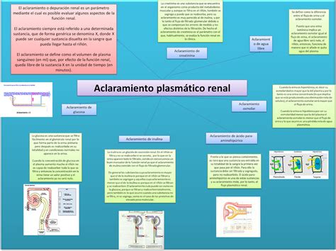 BLOG DE FISIOLOGÍA MEDICA UAS BRIANDA LÓPEZ 4 7 ACLARAMIENTO